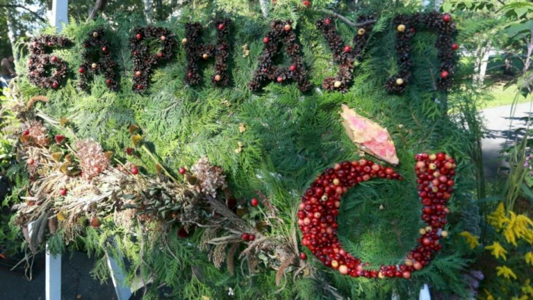 «Барнаул» из шишек и яблок и крыша из колбасы. Мастера показали свои ...