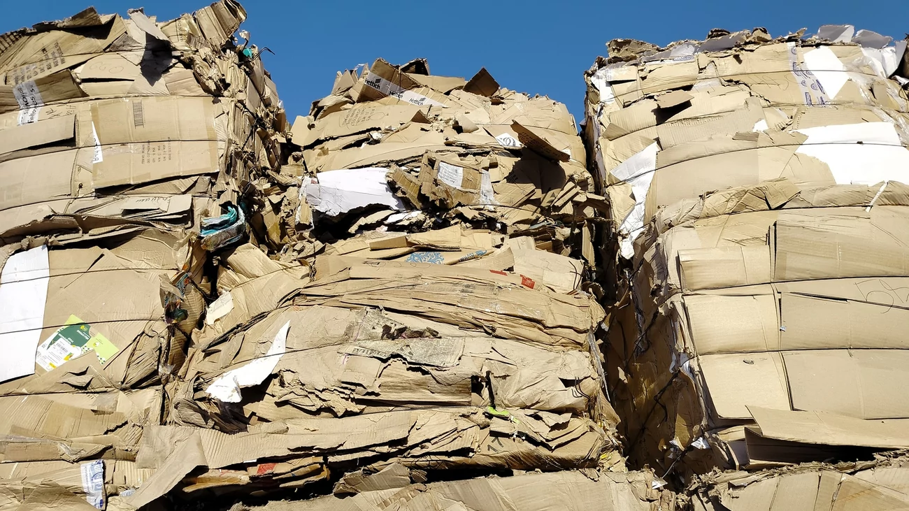 Осознанный вклад в экологию: куда в Барнауле сдать макулатуру напрямую ...