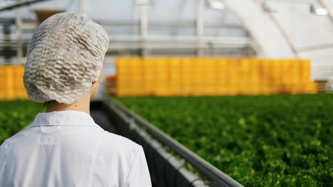 НПК "Рэлсиб" представит продукцию для АПК на агрофоруме "День ...