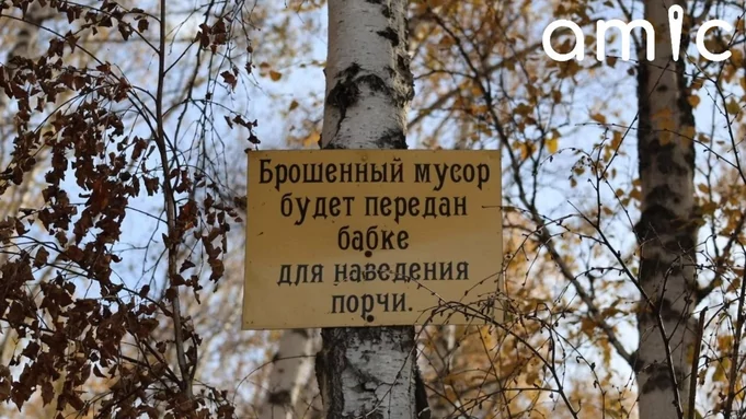 Таблички в березовой роще Барнаула / Фото Екатерины Смолихиной