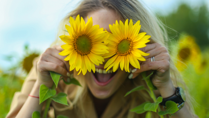 22 августа 2019 г., с.Шахи   Солнышко в руках. Алтайские поля подсолнухов в объективе Amic.ru