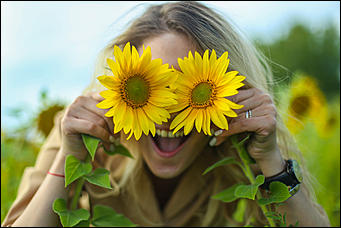 22 августа 2019 г., с.Шахи   Солнышко в руках. Алтайские поля подсолнухов в объективе Amic.ru