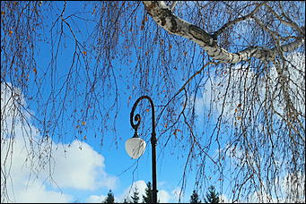 1 марта 2019 г., Барнаул. Екатерина Смолихина   Весна начинается в пятницу: первое марта в Барнауле