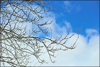 1 марта 2019 г., Барнаул. Екатерина Смолихина   Весна начинается в пятницу: первое марта в Барнауле