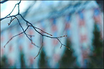 1 марта 2019 г., Барнаул. Екатерина Смолихина   Весна начинается в пятницу: первое марта в Барнауле