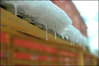 1 марта 2019 г., Барнаул. Екатерина Смолихина   Весна начинается в пятницу: первое марта в Барнауле