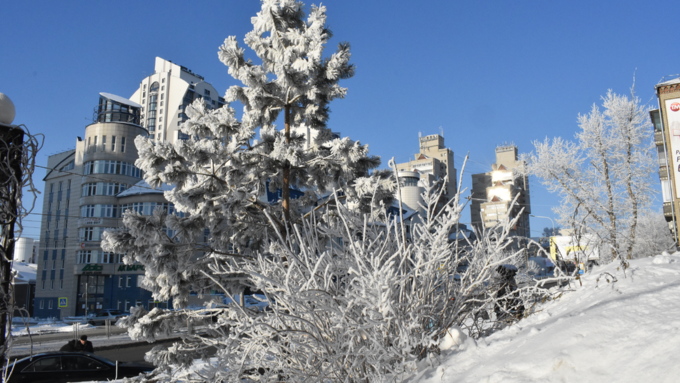 4 январь 2019 г., Барнаул   Новый год 2019