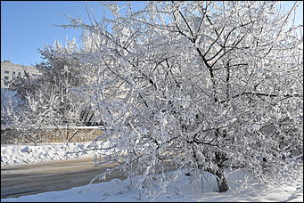 4 январь 2019 г., Барнаул   Новый год 2019