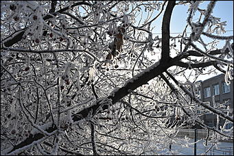 4 январь 2019 г., Барнаул   Новый год 2019