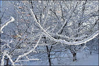 4 январь 2019 г., Барнаул   Новый год 2019