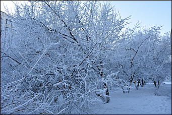 4 январь 2019 г., Барнаул   Новый год 2019