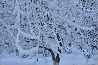 4 январь 2019 г., Барнаул   Новый год 2019