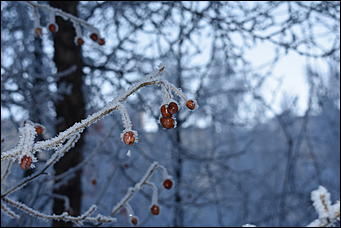 4 январь 2019 г., Барнаул   Новый год 2019
