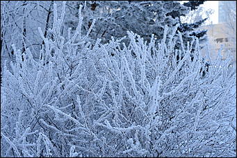 4 январь 2019 г., Барнаул   Новый год 2019