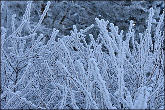 4 январь 2019 г., Барнаул   Новый год 2019