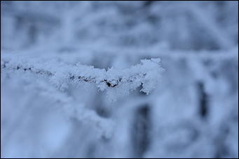 4 январь 2019 г., Барнаул   Новый год 2019