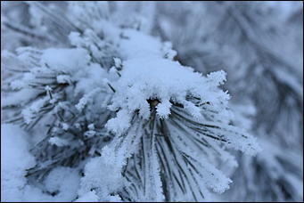 4 январь 2019 г., Барнаул   Новый год 2019