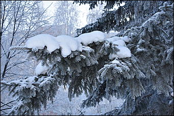 4 январь 2019 г., Барнаул   Новый год 2019