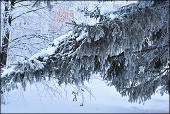4 январь 2019 г., Барнаул   Новый год 2019