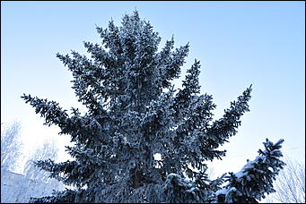 4 январь 2019 г., Барнаул   Новый год 2019