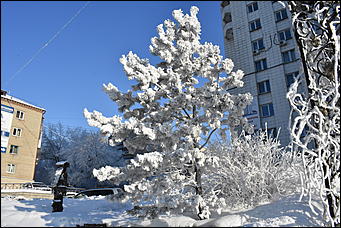 4 январь 2019 г., Барнаул   Новый год 2019