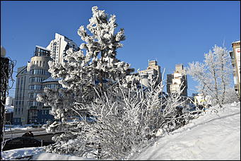 4 январь 2019 г., Барнаул   Новый год 2019