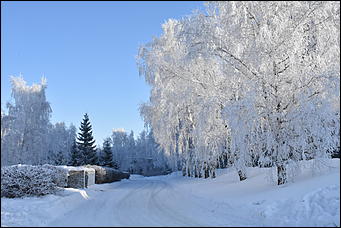 4 январь 2019 г., Барнаул   Новый год 2019