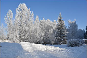 4 январь 2019 г., Барнаул   Новый год 2019
