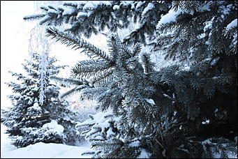 4 январь 2019 г., Барнаул   Новый год 2019