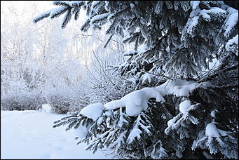 4 январь 2019 г., Барнаул   Новый год 2019