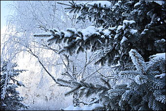 4 январь 2019 г., Барнаул   Новый год 2019