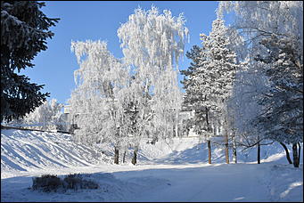 4 январь 2019 г., Барнаул   Новый год 2019