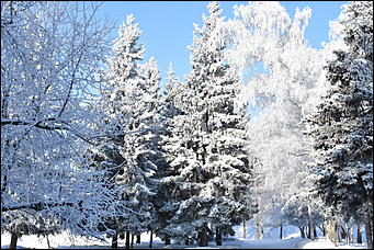 4 январь 2019 г., Барнаул   Новый год 2019