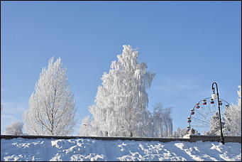 4 январь 2019 г., Барнаул   Новый год 2019