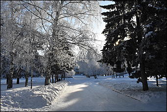 4 январь 2019 г., Барнаул   Новый год 2019