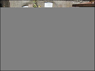 22 июня 2008 г., Барнаул   В Барнауле вспоминают Великую Отечественную