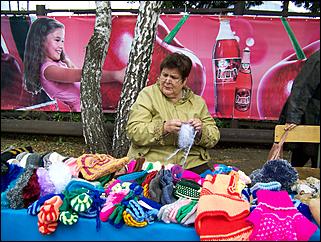 31 август 2013 г., Барнаул   35 лет Индустриальному району: цветы и рукодельники