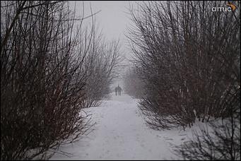 3 апреля 2018 г., Барнаул. Екатерина Смолихина   Барнаул, апрель, снегопад