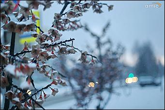 3 апреля 2018 г., Барнаул. Екатерина Смолихина   Барнаул, апрель, снегопад