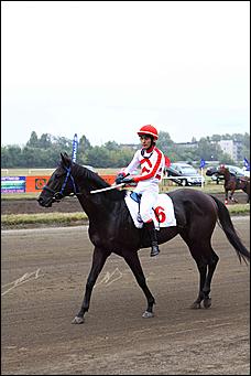 20 августа 2011 г.,Барнаул   Дилерский центр Hyundai- Автоцентр АНТ посетил конноспортивные соревнования на Кубок Губернатора края-2011