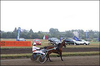 20 августа 2011 г.,Барнаул   Дилерский центр Hyundai- Автоцентр АНТ посетил конноспортивные соревнования на Кубок Губернатора края-2011