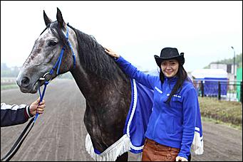 20 августа 2011 г.,Барнаул   Дилерский центр Hyundai- Автоцентр АНТ посетил конноспортивные соревнования на Кубок Губернатора края-2011