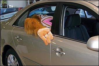 Открытие дилерского центра Hyundai    31 мая 2008 г., Барнаул