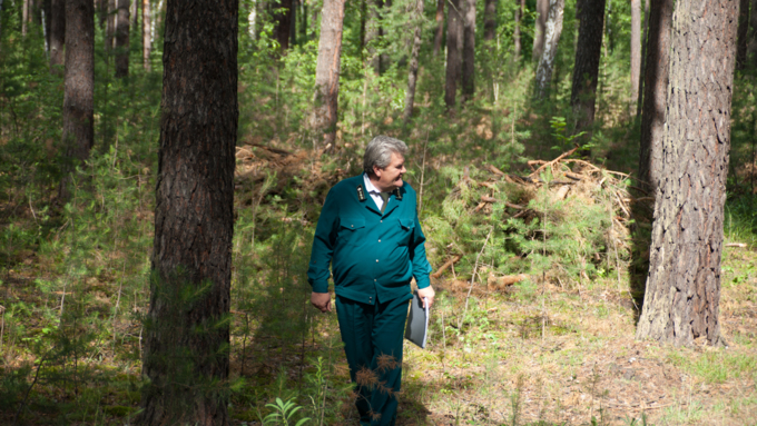 04.07.2017   Барнаульское лесничество в селе Лебяжье