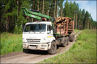 04.07.2017   Барнаульское лесничество в селе Лебяжье