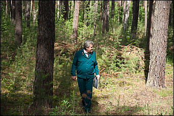 04.07.2017   Барнаульское лесничество в селе Лебяжье