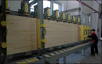 16 сентября 2006 г., Барнаул   Запуск цеха глубокой переработки дерева Ларичихинского лесхоза