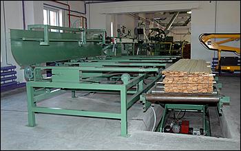 16 сентября 2006 г., Барнаул   Запуск цеха глубокой переработки дерева Ларичихинского лесхоза