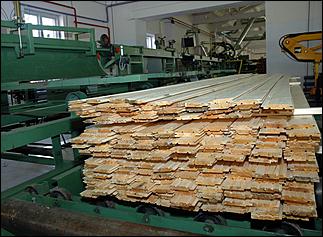 16 сентября 2006 г., Барнаул   Запуск цеха глубокой переработки дерева Ларичихинского лесхоза