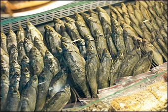 26 июнь 2017 г., Барнаул   Напитки рекой и танцы до победного: как прошел гастрономический праздник "АлтайФест". Фоторепортаж 